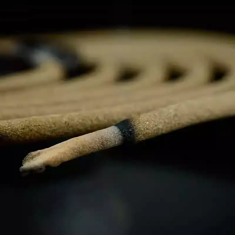 Ancestral Breath | Pure Botanical Healing Coils - Detail Shot