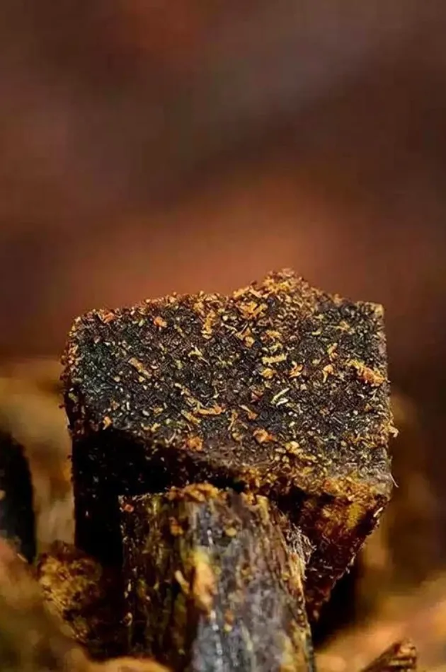Sinensis Green Kyara· Mystic Vintage Agarwood